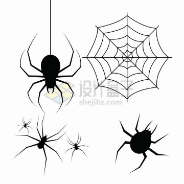 4款黑色的蜘蛛剪影蜘蛛丝蜘蛛网图案png图片免抠矢量素材