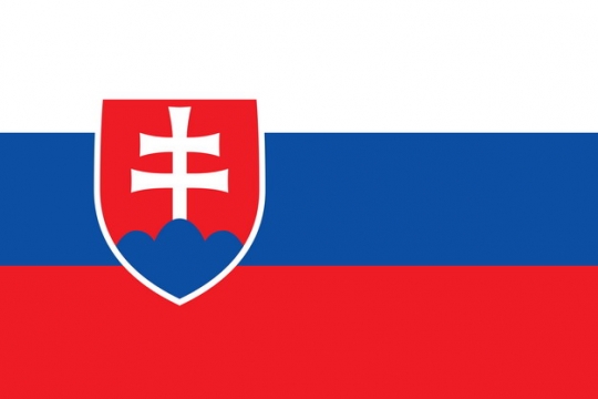 标准版斯洛伐克国旗图片素材