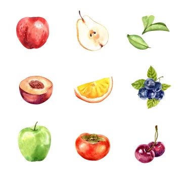 水彩画风格苹果切开的梨桃子橙子蓝莓柿子车厘子等美味水果图片免抠矢量素材