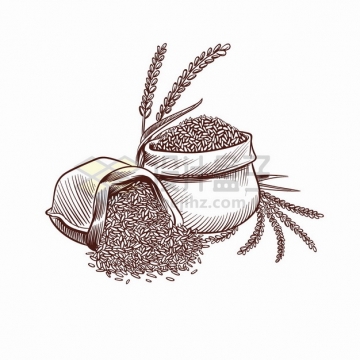 装袋子里的小麦粮食手绘插画png图片素材
