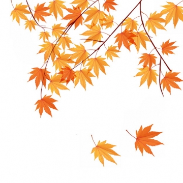 秋天枝头上飘落的枫叶330286png图片素材