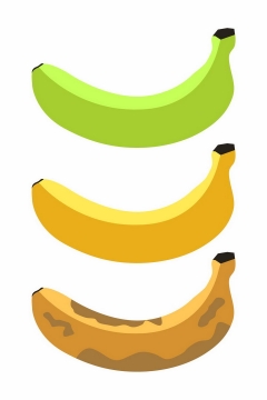 从青香蕉变成烂香蕉png图片免抠矢量素材