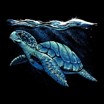 水面下的海龟艺术插画png图片免抠矢量素材
