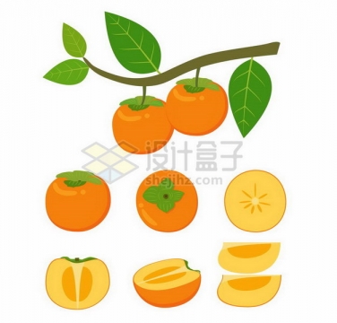 挂载枝头上的柿子和切开的柿子美味水果png图片免抠矢量素材
