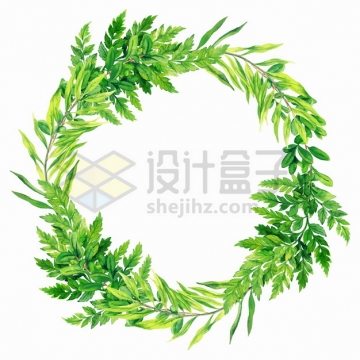 蕨类植物的绿色树叶组成的花环png图片素材