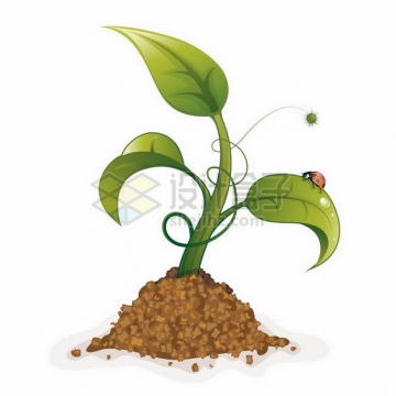 泥土中冒出来的嫩芽植物发芽png图片免抠矢量素材