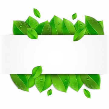 绿油油的树叶和长方形白色背景框png图片免抠矢量素材