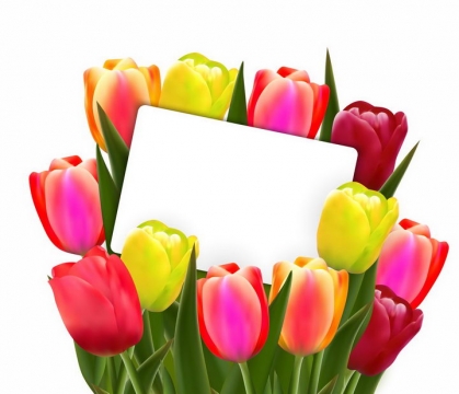 红色黄色郁金香花朵装饰的长方形白色背景框png图片免抠矢量素材