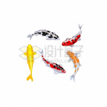 5条游泳的彩色鲤鱼锦鲤105505png矢量图片素材