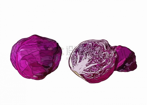 手绘风格切开的紫甘蓝美味蔬菜png图片免抠矢量素材