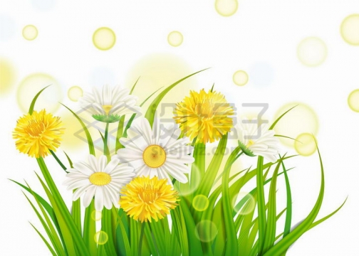 春天里盛开的鲜花和绿色的青草以及阳光光晕效果png图片免抠矢量素材
