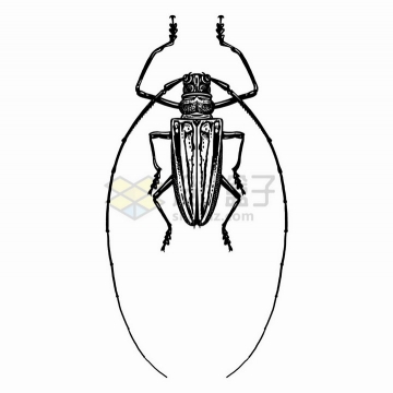 长角甲虫昆虫黑白插画png图片免抠矢量素材