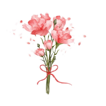 彩色水彩画风格一束康乃馨花朵花卉图片免抠素材