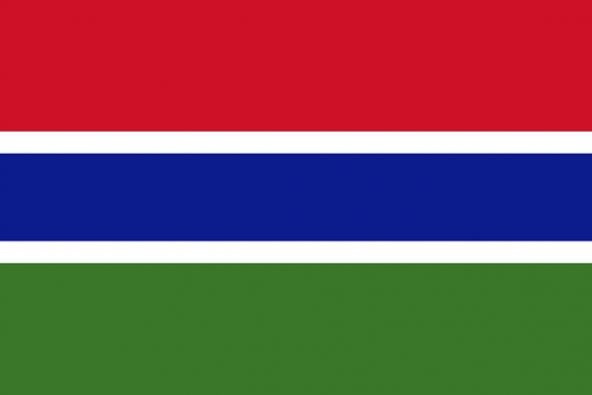 标准版冈比亚国旗图片素材