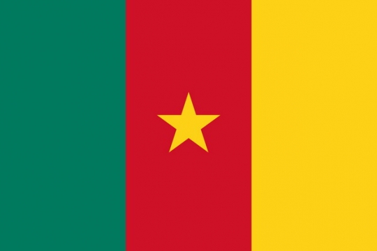 标准版喀麦隆国旗图片素材