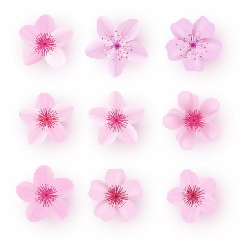 9款粉红色的桃花花朵花瓣png图片免抠矢量素材