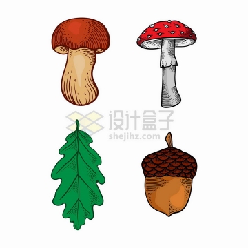 彩绘风格两种蘑菇和树叶松果png图片免抠矢量素材