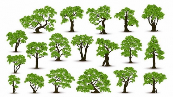 19款各种形状的郁郁葱葱的大树树木绿树成荫盆景树png图片免抠矢量素材
