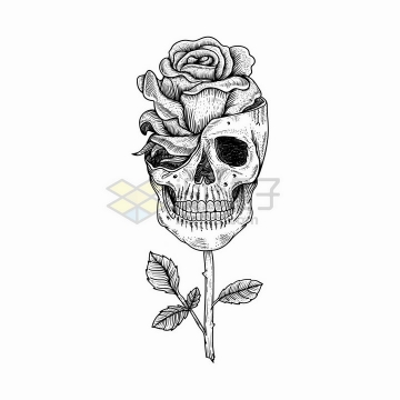 黑色素描风格骷髅头中长出了一朵玫瑰花png图片免抠矢量素材