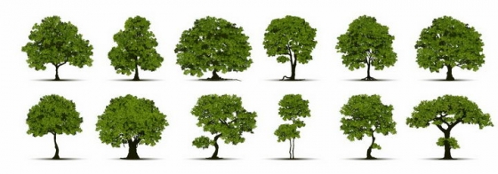 12棵各种形状的景观大树树木绿树盆景树png图片免抠矢量素材