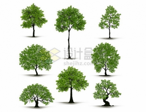 8款不同造型的绿色大树662110png矢量图片素材