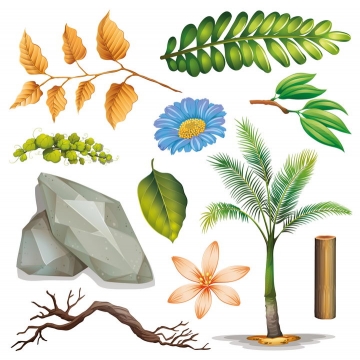 各种绿色和枯黄的树叶石头花卉图片免抠矢量图素材