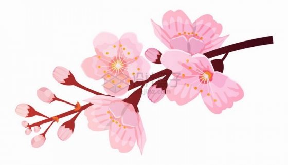 枝头上盛开的粉红色桃花彩绘插画png图片免抠矢量素材