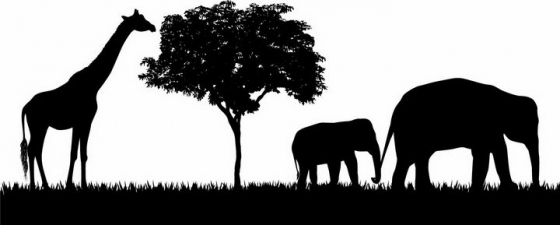 非洲大草原草地上吃树叶的长颈鹿和大象非洲野生动物剪影png图片免抠矢量素材