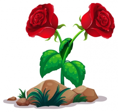 石头和两朵红色玫瑰花图片免抠矢量素材