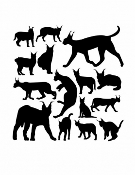 各种狞猫非洲野生动物猫科动物剪影png图片免抠矢量素材