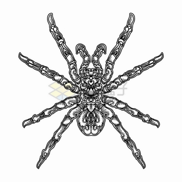 巨大的蜘蛛带有抽象花纹黑色线条插画png图片免抠矢量素材