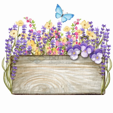 长方形木板和薰衣草蝴蝶兰花朵花卉装饰标题框水彩插画png图片免抠矢量素材