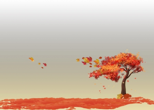 深秋时节变红的大树和一地的红色树叶131889png图片素材