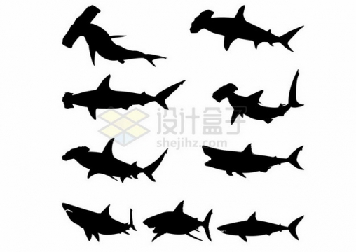 各种锤头鲨大白鲨等鲨鱼动物剪影312195png图片素材