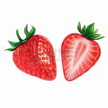 两颗切开的草莓美味水果水彩插画png图片免抠矢量素材