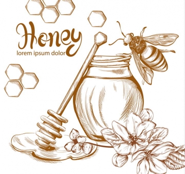 棕色线条手绘涂鸦素描风格蜂蜜罐蜂蜜棒以及小蜜蜂免抠矢量图片素材