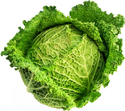 甘蓝菜美味蔬菜100459png图片素材