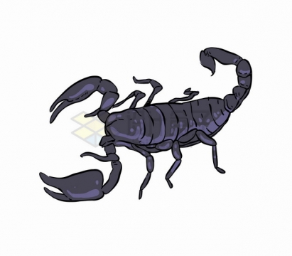 深紫色的蝎子毒物昆虫手绘插画png图片素材