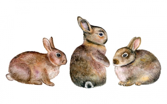 3款彩绘风格可爱的小兔子野兔图片免抠矢量素材