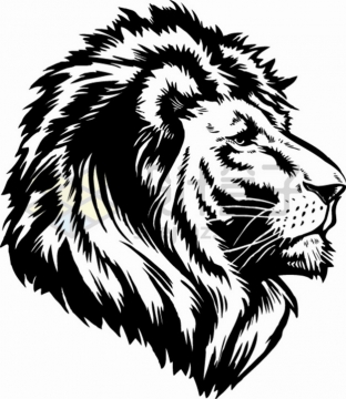 黑色狮子头部素描插画png图片素材