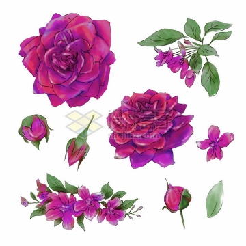 各种鲜艳的红色玫瑰花桃花等花朵花苞水彩插画png图片素材