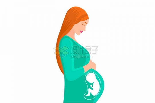 怀孕的孕妇侧面图腹中胎儿示意图png图片免抠矢量素材