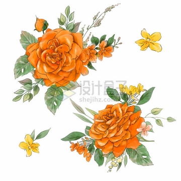 鲜艳的橘色玫瑰花桃花等花朵花苞水彩插画png图片素材