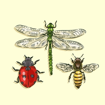 彩色手绘风格蜻蜓七星瓢虫和小蜜蜂昆虫免抠矢量图片素材