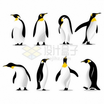 8款不同形态的南极帝企鹅png图片免抠矢量素材
