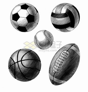 足球排球篮球棒球橄榄球手绘线条插画png图片素材