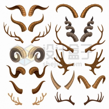 各种山羊角羚羊角牛角鹿角等动物的角png图片素材