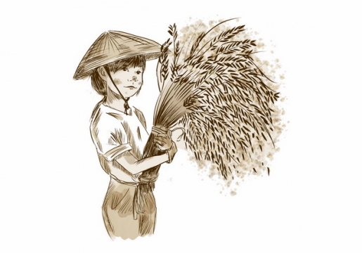 农民抱着收割的稻穗麦穗手绘插画png图片素材579845