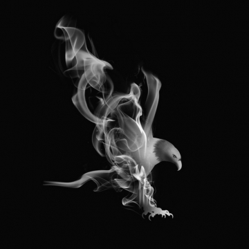 抽象白烟冒烟效果组成了老鹰图案471213png图片素材