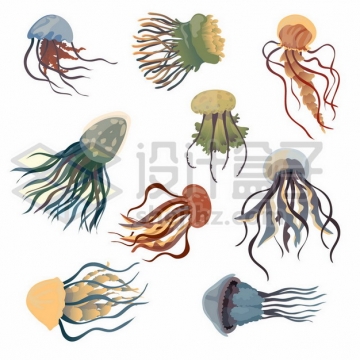 9款水母海洋动物519785免抠矢量图片素材